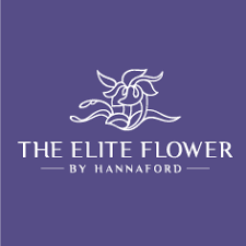 GRUPO ELITE